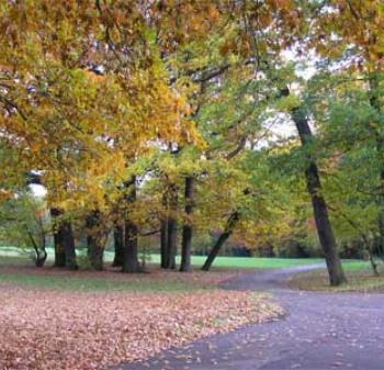 London park walks