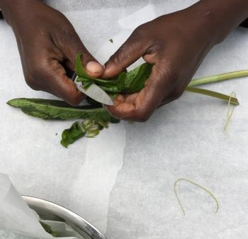 Hands gutting herbs